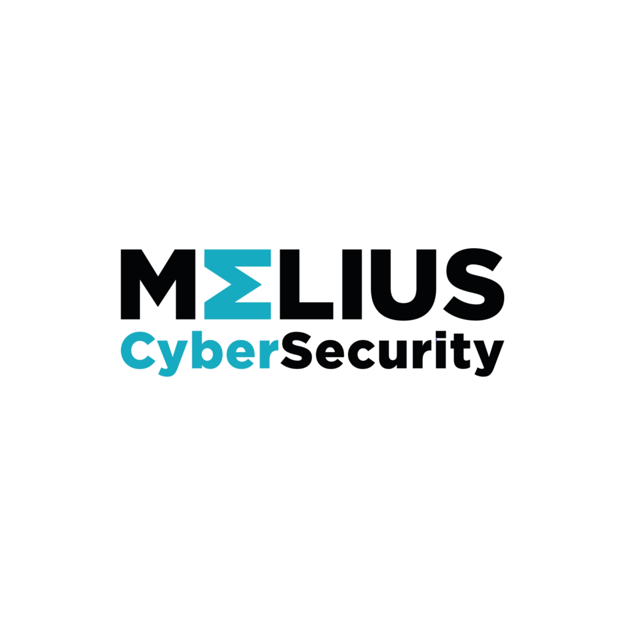 Melius Cyber raises £350k for SME security testing software